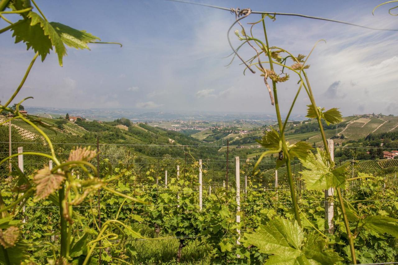 B&B Miello Nelle Langhe Mango Exterior foto